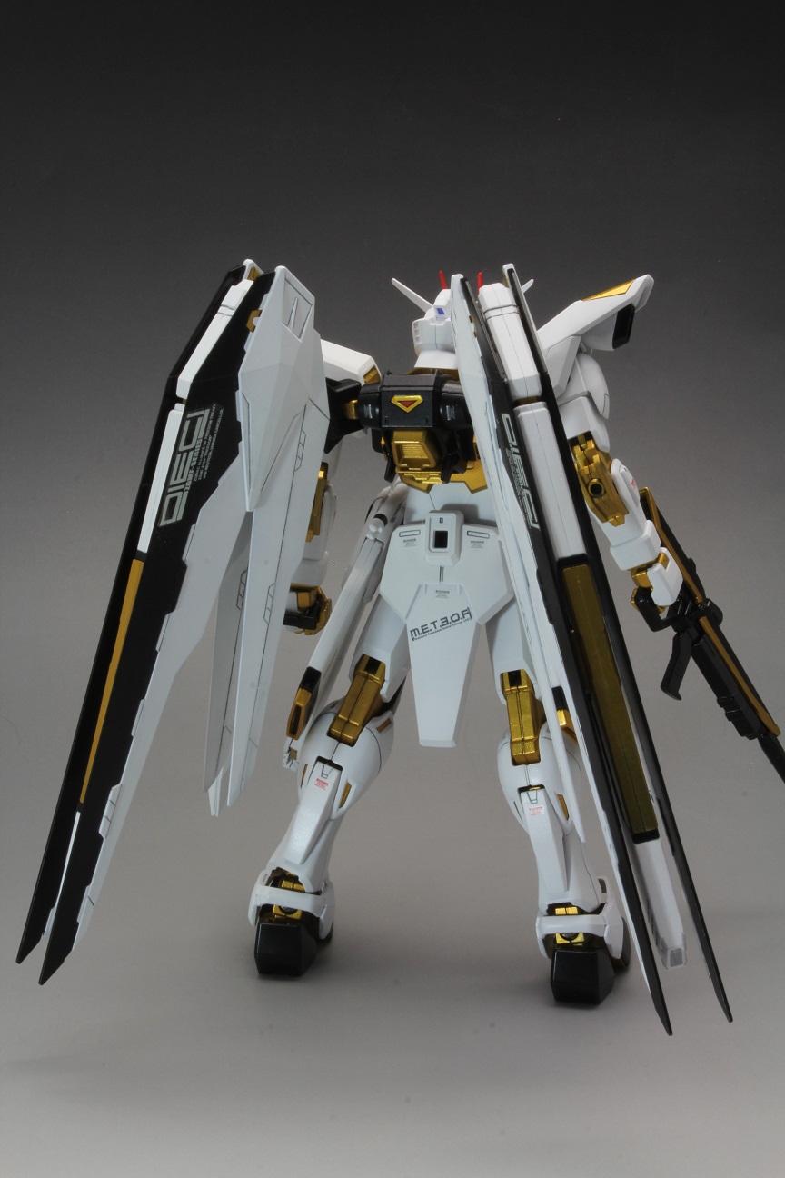 Mg フリーダムガンダム 完成 Master Grade Club