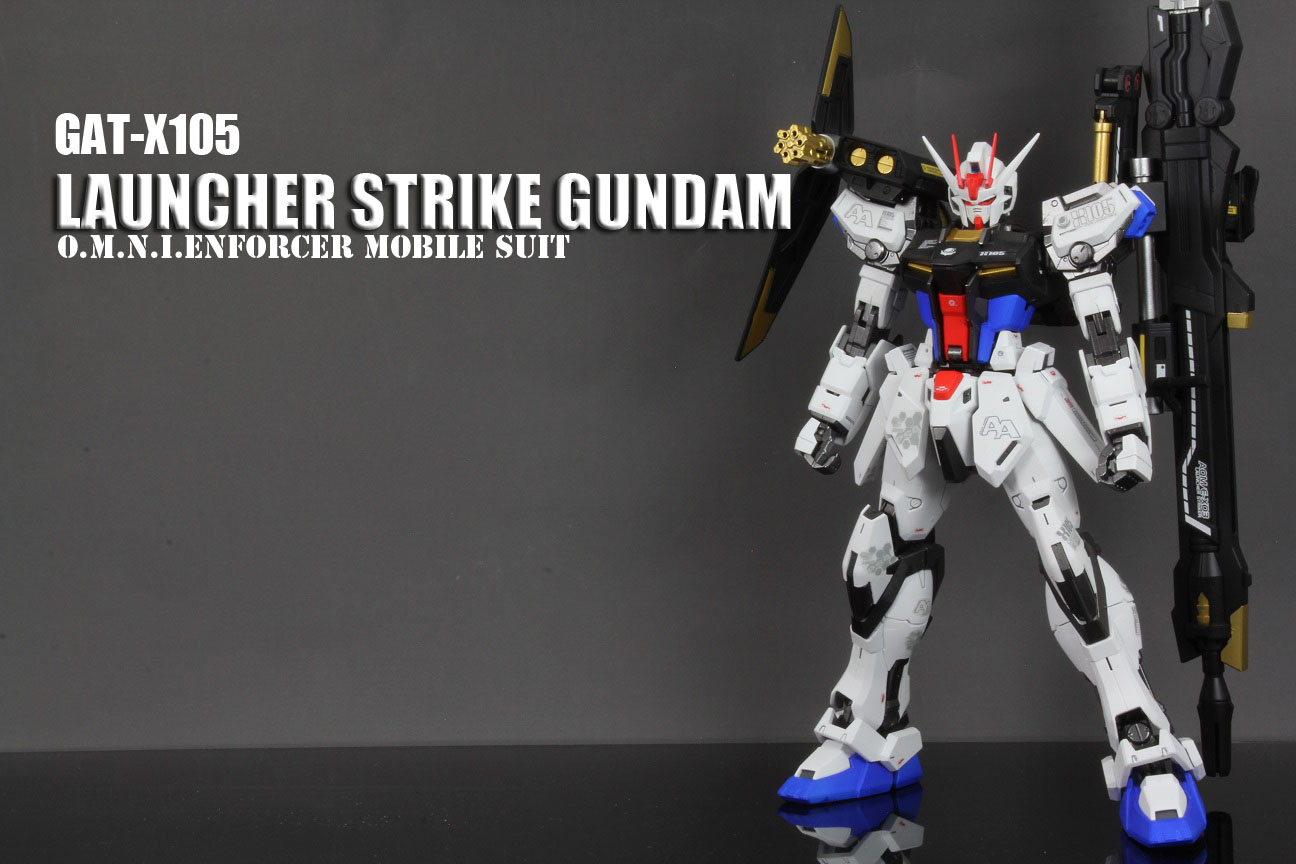ジャンク MG エールストライク ライジンストライカー MG 1/100 ライトニングストライクガンダム Ver.RM ・MG 1/100